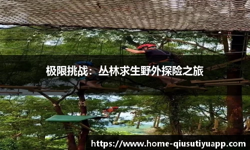 球速体育平台